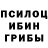 Галлюциногенные грибы Psilocybine cubensis peacamaker peace