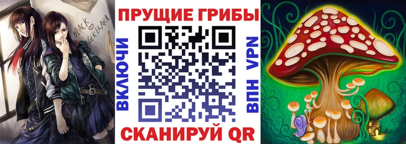 omg ссылки  Кемерово  Галлюциногенные грибы Psilocybine cubensis 